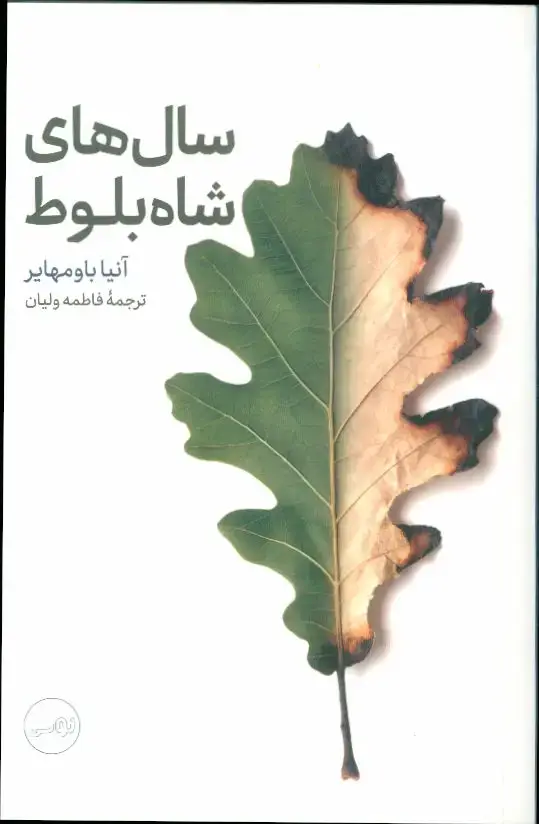 جلد کتاب سال های شاه بلوط