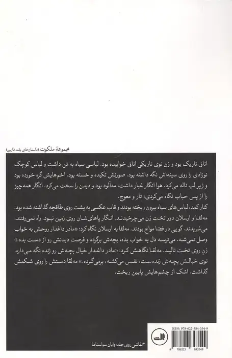 جلد کتاب رویای زمانه