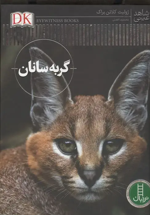 جلد کتاب گربه سانان (شاهد عینی)،(گلاسه)