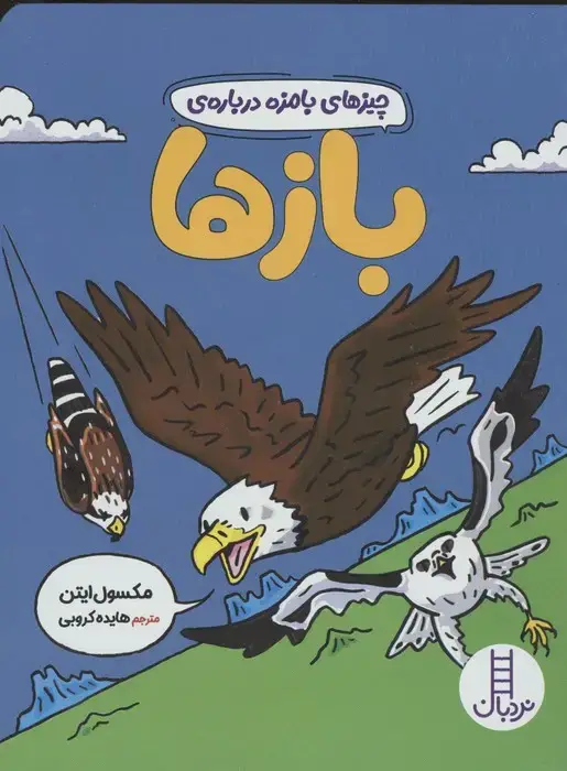 جلد کتاب چیزهای بامزه درباره ی بازها (گلاسه)
