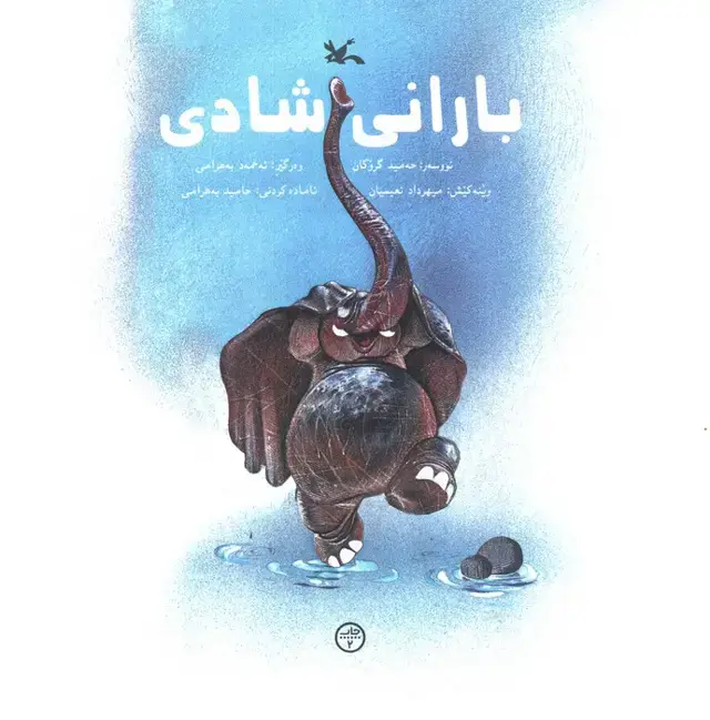 جلد کتاب باران شادی اثر حه مید گروگان