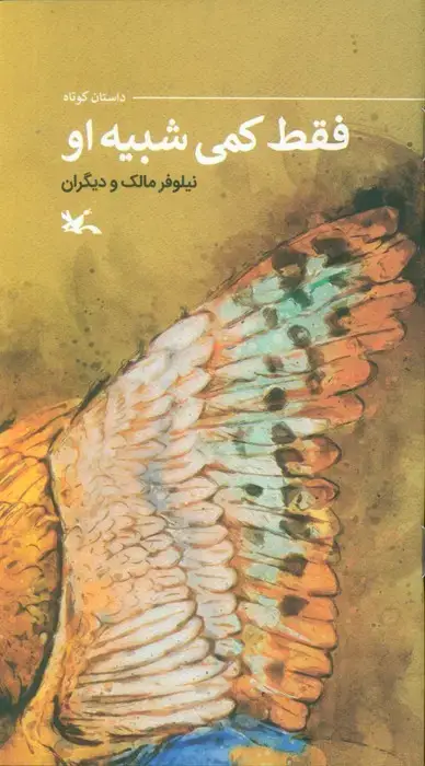 جلد کتاب فقط کمی شبیه او (گلاسه) اثر دیگران