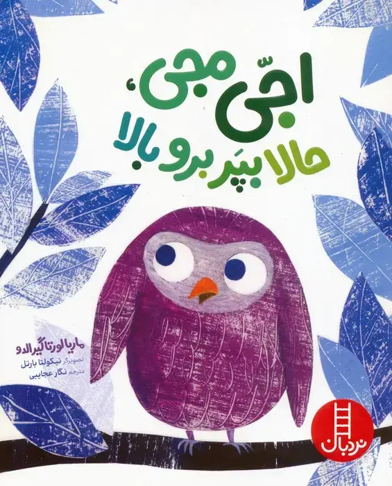 جلد کتاب اجی مجی،حالا بپر برو بالا (گلاسه)