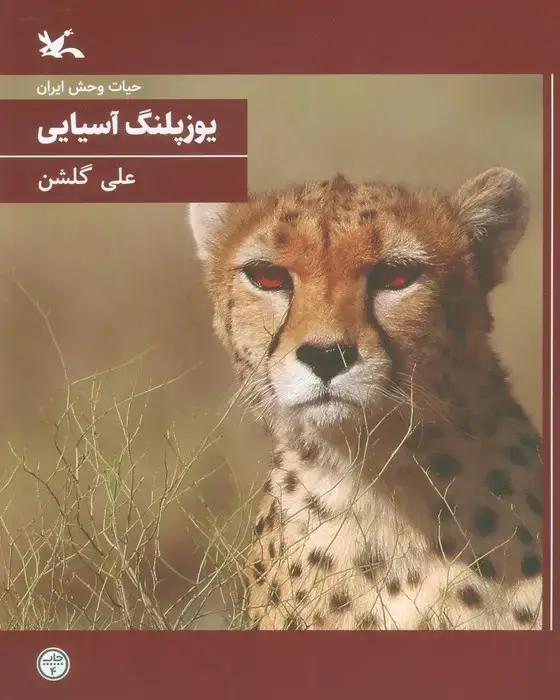 جلد کتاب یوزپلنگ آسیایی (حیات وحش ایران)