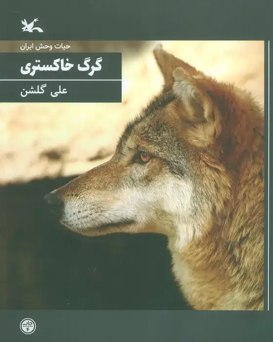 جلد کتاب گرگ خاکستری (حیات وحش ایران)