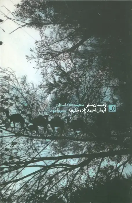 جلد کتاب زمستان شتر اثر ایمان احمدزاده خلیفه