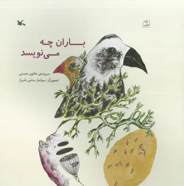 جلد کتاب باران چه می نویسد (گلاسه)