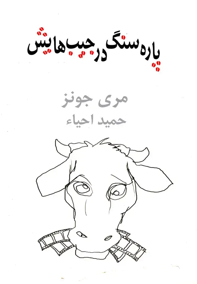جلد کتاب پاره سنگ در جیب‌هایش (نیلا)