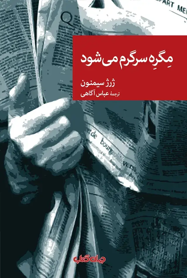 جلد کتاب مگره سرگرم می‌شود (جهان‌کتاب)