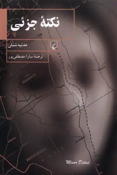 جلد کتاب نکته‌ی جزئی (ققنوس)