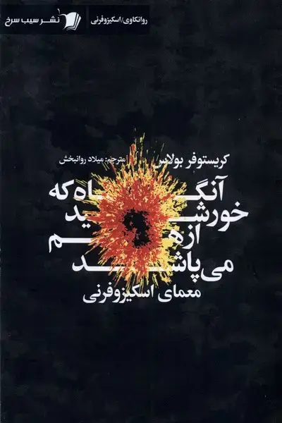 جلد کتاب آنگاه که خورشید ازهم می‌پاشد (سیب‌سرخ)