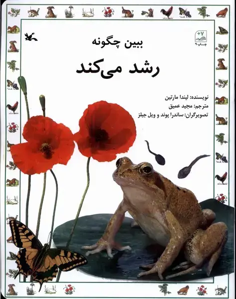 جلد کتاب ببین چگونه رشد می‌کند (کانون‌پرورش‌فکری)
