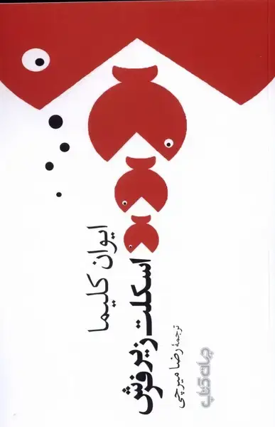جلد کتاب اسکلت زیر فرش (جهان‌کتاب)