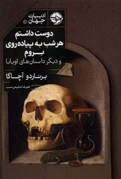 جلد کتاب دوست داشتم هر شب به پیاده روی بروم (خوب)