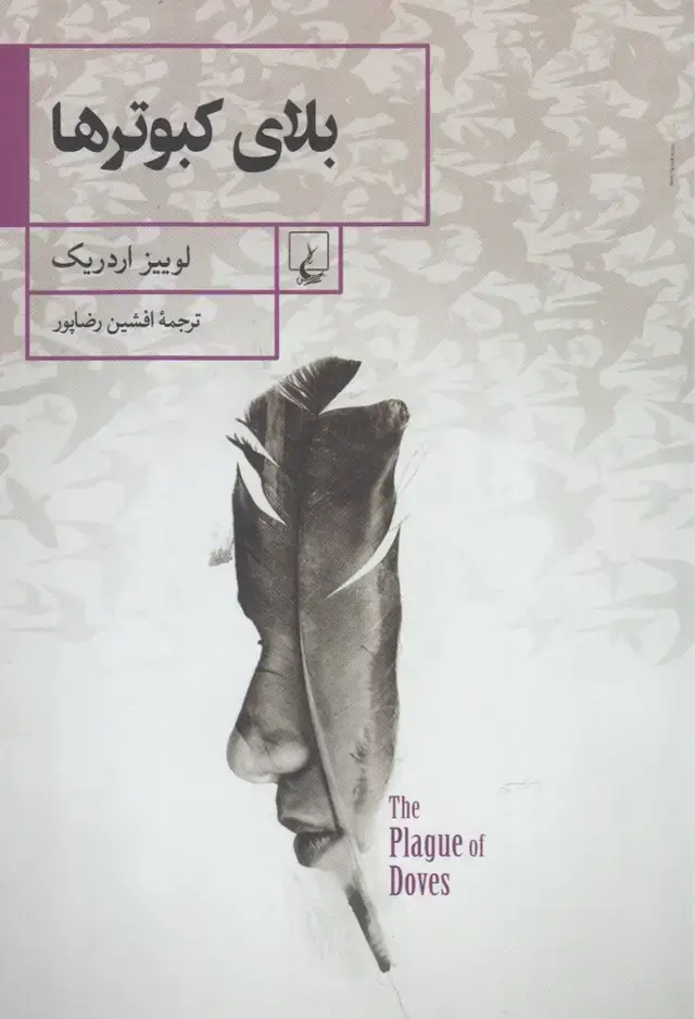 جلد کتاب بلای کبوترها (ققنوس)