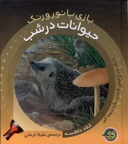 جلد کتاب بازی با نور و رنگ (حیوانات‌درشب) پیام‌مشرق