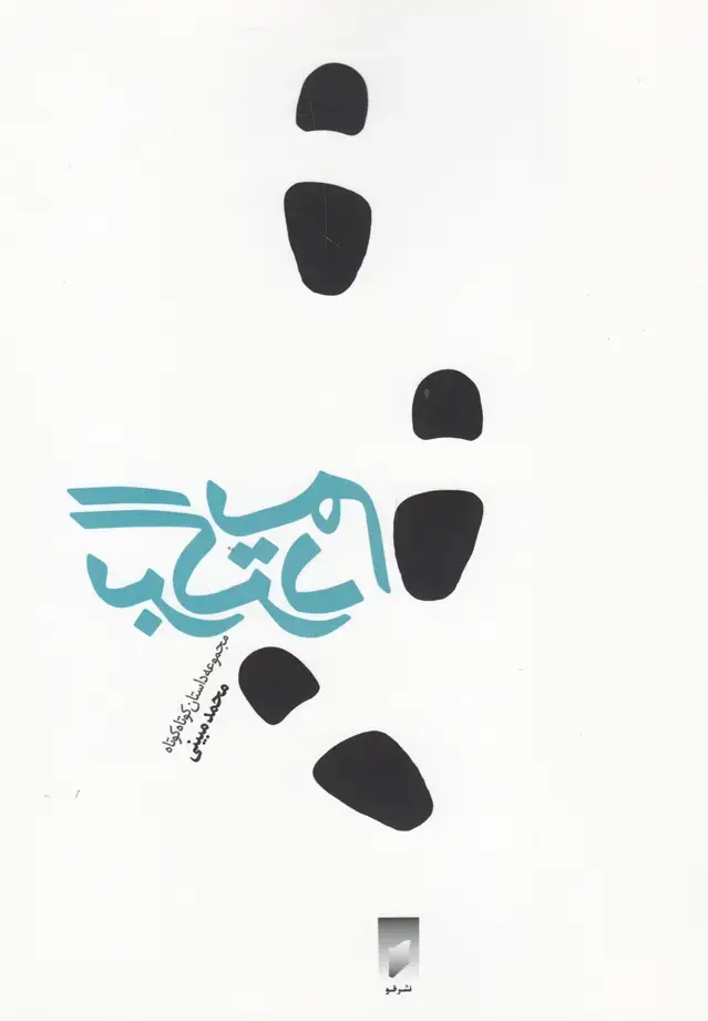 جلد کتاب برگردیم (داستانکوتاه) قو