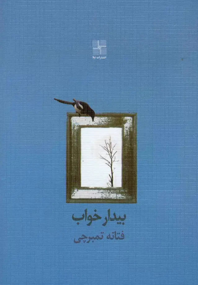 جلد کتاب بیدار خواب (مجموعه‌داستان) نیلا