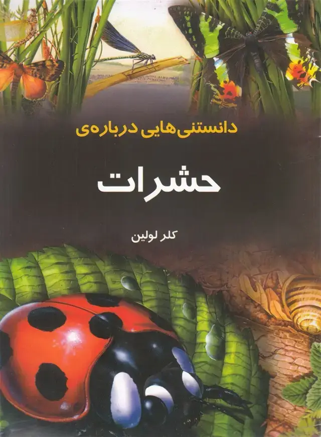 جلد کتاب دانستنی‌هایی درباره‌ی حشرات (به نشر)