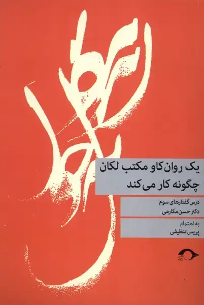 جلد کتاب یک روان‌کاو مکتب لکان چگونه کار می‌کند (نشانه)