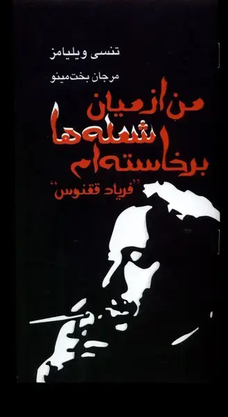جلد کتاب من از میان شعله‌ها برخاسته‌ام‌ (نمایشنامه) مینو