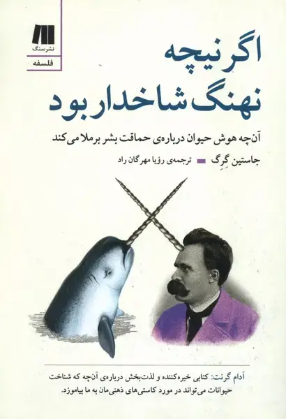 جلد کتاب اگر نیچه نهنگ شاخدار بود (سنگ)