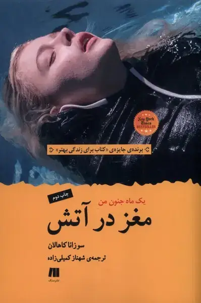 جلد کتاب مغز در آتش (سنگ)