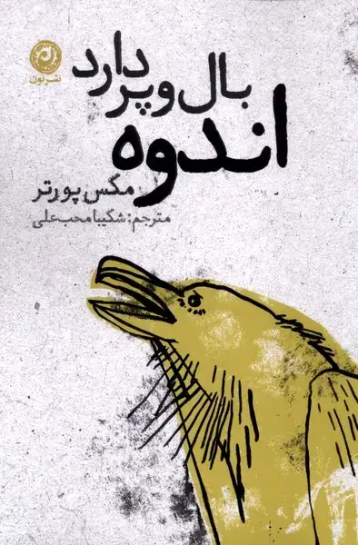 جلد کتاب اندوه بال و پر دارد (نون)