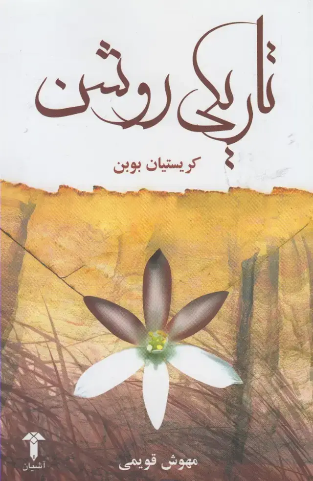 جلد کتاب تاریکی روشن (آشیان)