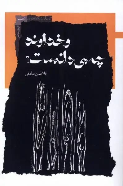 جلد کتاب و خداوند چه می دانست (نگاه‌معاصر) اثر افلاطون صادقی