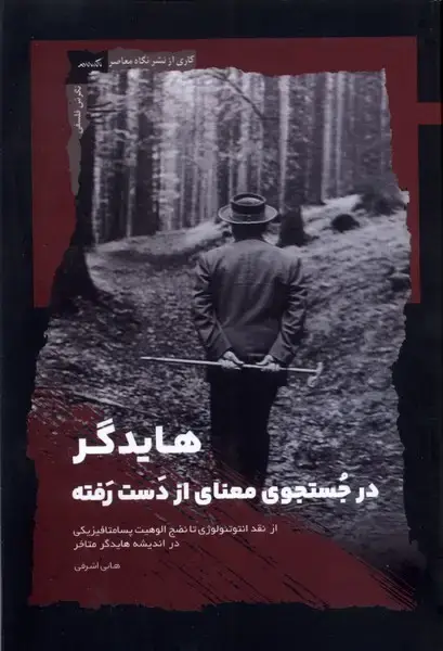 جلد کتاب هایدگر در جستجوی معنای از دست رفته (نگاه‌معاصر)