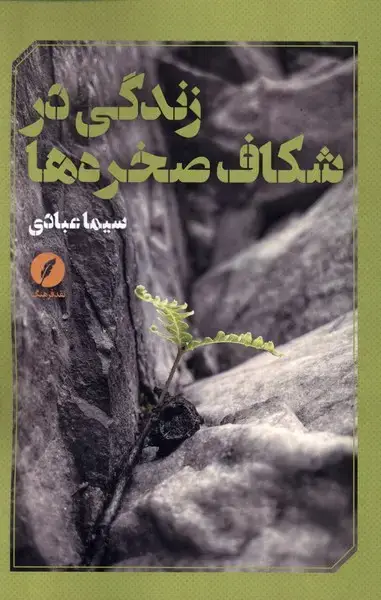 جلد کتاب زندگی در شکاف صخرهها (نقدفرهنگ)