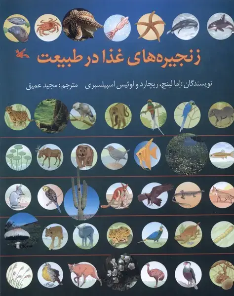 جلد کتاب زنجیره‌های غذا در طبیعت (کانون‌پرورش‌فکری)