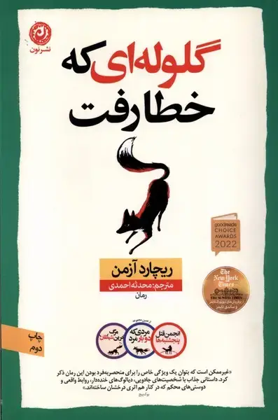 جلد کتاب گلولهای که خطا رفت (نون) *
