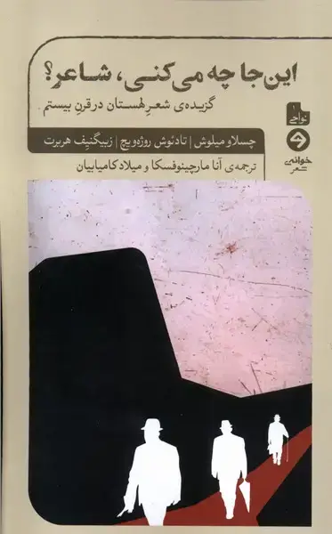جلد کتاب این جا چه می‌کنی شاعر (خوانه) *