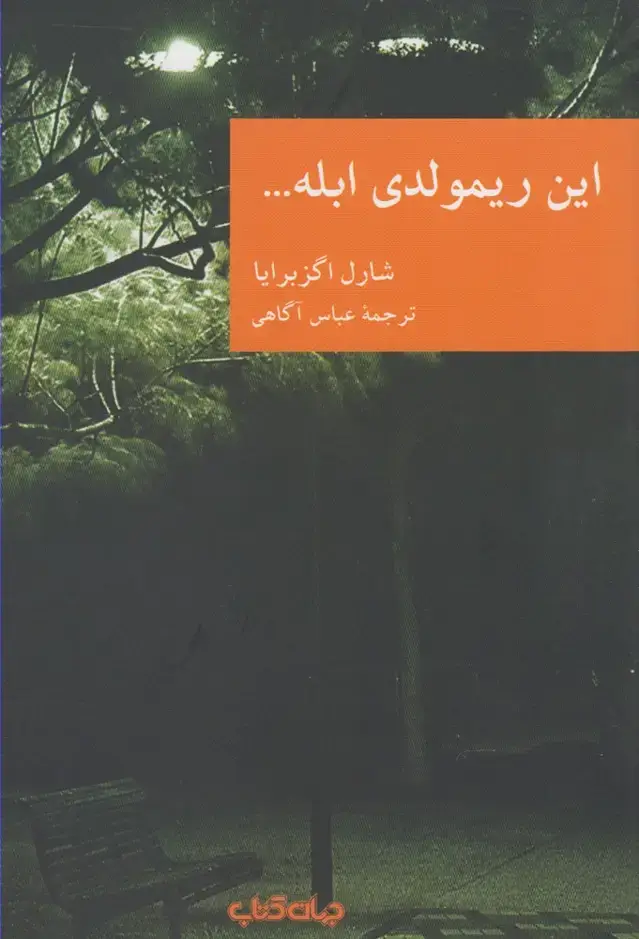 جلد کتاب این ریمولدی ابله (جهانکتاب)