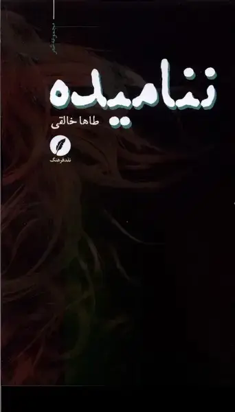 جلد کتاب ننامیده (نقدفرهنگ)