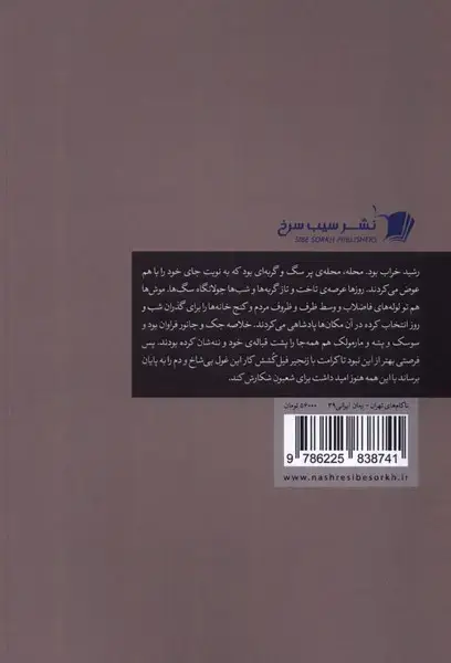 جلد کتاب ناکام‌های تهران (سیب‌سرخ)