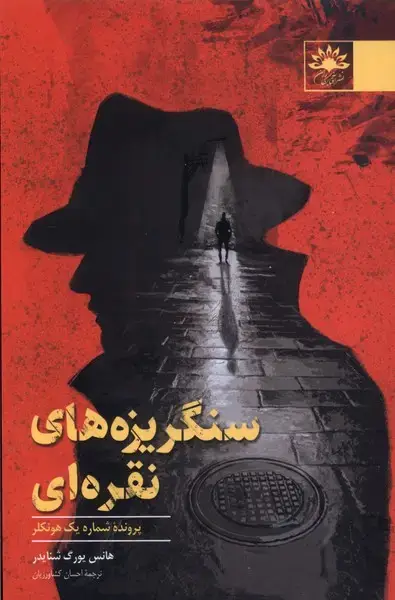 جلد کتاب سنگریزه‌های نقره‌ای (آفتابکاران)