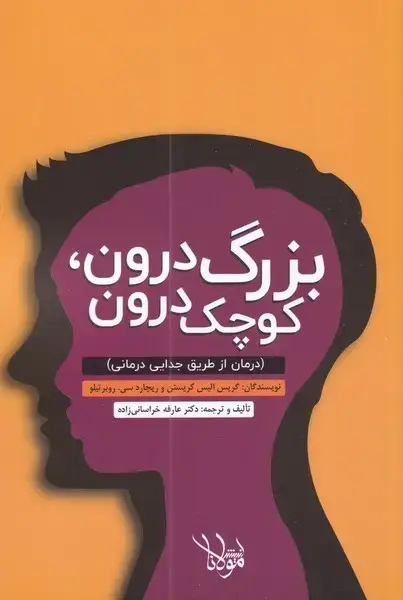 جلد کتاب بزرگ درون کوچک درون (درمانازطریقجدایی) مولانا*