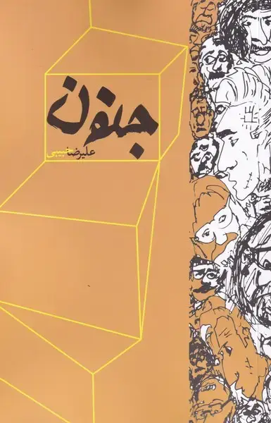 جلد کتاب جنون (نقدفرهنگ)