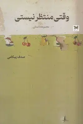 جلد کتاب وقتی منتظر نیستی