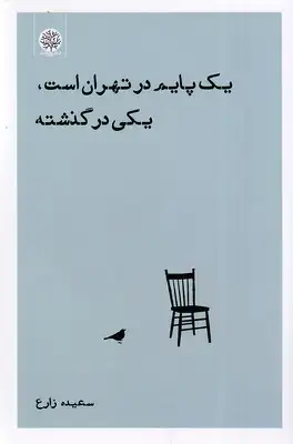 جلد کتاب یک پایم در تهران است یکی در گذشته