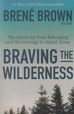 جلد کتاب اورجینال-شجاعت در برهوت Bravingthewilderness