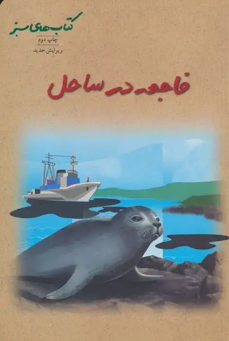 جلد کتاب فاجعه در ساحل