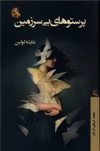جلد کتاب پرستوهای بی سرزمین