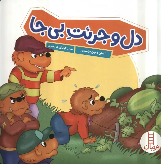 جلد کتاب دل و جرئت بی جا (گلاسه)