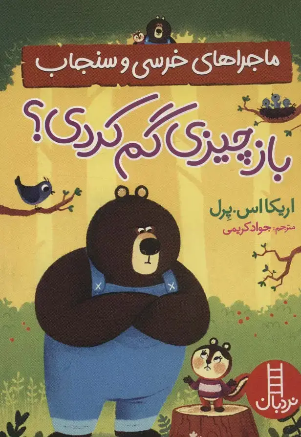 جلد کتاب باز چیزی گم کردی؟ (ماجراهای خرسی و سنجاب)