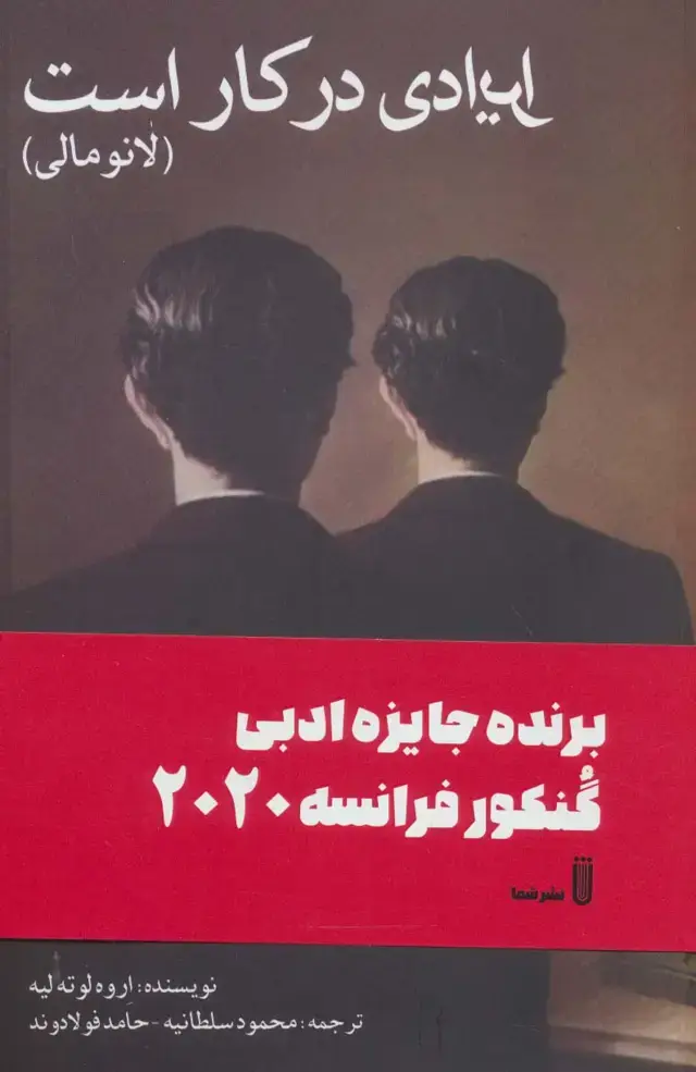 جلد کتاب ایرادی در کار است (لانومالی)