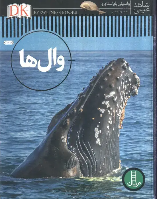 جلد کتاب وال ها (شاهد عینی)،(گلاسه)